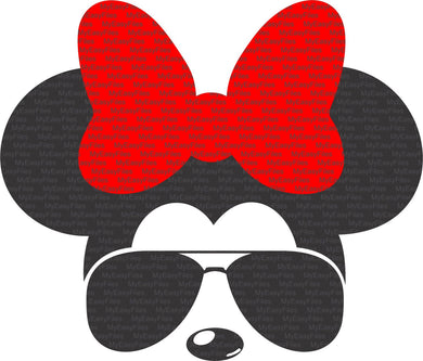 Minnie Sunglasses aviator